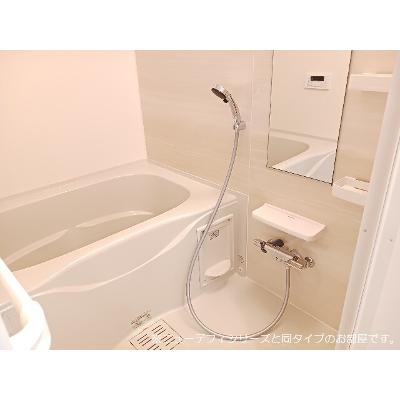 ソフィアツー 102【管理NO：1-028444801-01020】 ★家具家電は申し込み後に搬入します 2027年01月下旬入居可能の物件画像