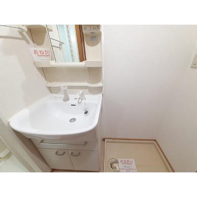 サンセ－ル 106【管理NO：1-012057101-01050】 ★家具家電は申し込み後に搬入します 2026年08月下旬入居可能の物件画像