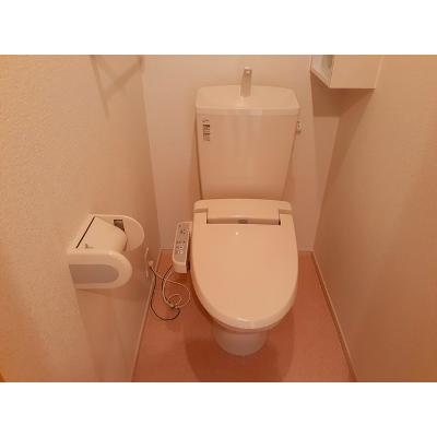 メゾン　ララリ 203【管理NO：1-018474701-02030】 ★家具家電は申し込み後に搬入します 2026年12月中旬入居可能の物件画像