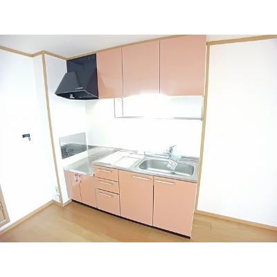 Ｎｅｏ　Ｃａｐｅ 203【管理NO：1-012732001-02030】 ★家具家電は申し込み後に搬入しますの物件画像