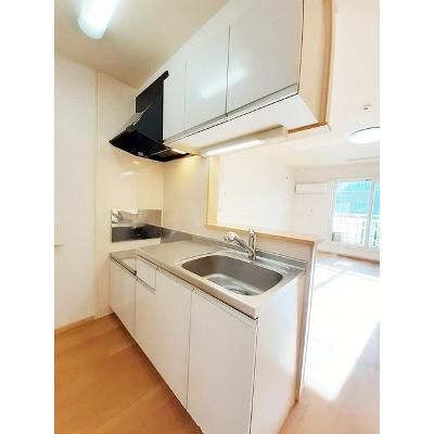ブリリアント　Ｍ 201【管理NO：1-015822201-02010】 ★家具家電は申し込み後に搬入します★の物件画像