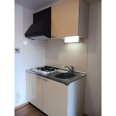 Ｙｉ　アイリス 305【管理NO：1-012885201-03040】 ★家具家電は申し込み後に搬入します★の物件画像