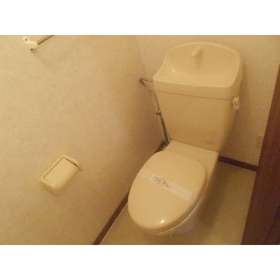 アウローラ 203【管理NO：1-011561401-02030】 ★家具家電は申し込み後に搬入します★ ★2026年09月上旬入居可能★の物件画像