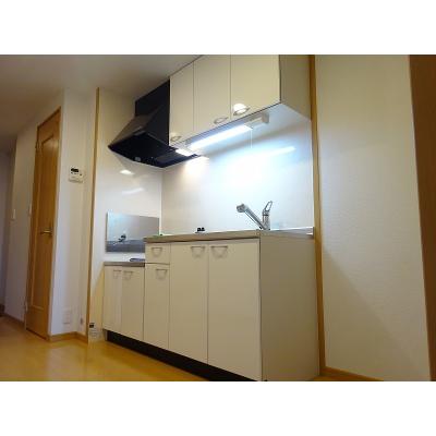 アリスト大和高田 203【管理NO：1-014775401-02030】 ★家具家電は申し込み後に搬入します 2026年08月下旬入居可能の物件画像