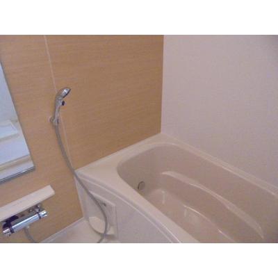 春夏冬 202【管理NO：1-024518001-02020】 ★家具家電は申し込み後に搬入します 2026年08月下旬入居可能の物件画像