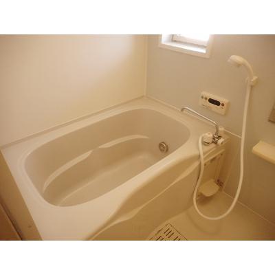 ブラン・ルピナス　Ｂ 202【管理NO：1-014726102-02020】 ★家具家電は申し込み後に搬入します★ ★2026年10月中旬入居可能★の物件画像