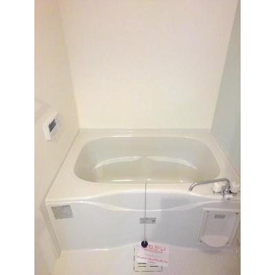テラス三島町Ｅ 204【管理NO：1-019808201-02040】 ★家具家電は申し込み後に搬入します★ ★2026年08月下旬入居可能★の物件画像