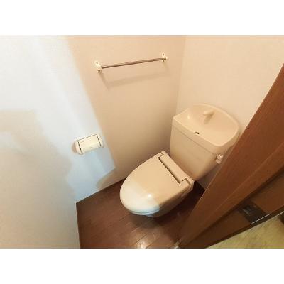 パラディーゾ木の実町 302【管理NO：1-010478801-03020】 ★家具家電は申し込み後に搬入します★ ★2026年09月中旬入居可能★の物件画像