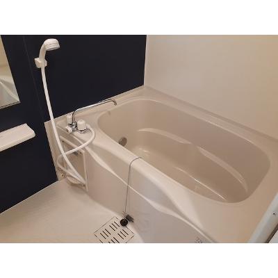 ピュアアクティブⅡ 103【管理NO：1-019755702-01030】 ★家具家電は申し込み後に搬入します 2026年08月上旬入居可能の物件画像