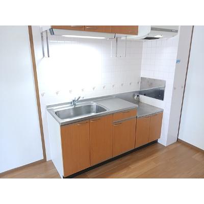 山根マーヴェラスマンション 105【管理NO：1-009693701-01050】 ★家具家電は申し込み後に搬入します★の物件画像