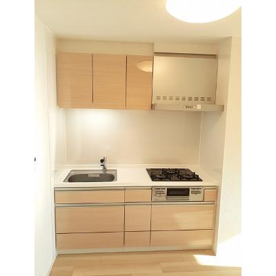 カレント美郷Ⅵ 301【管理NO：1-025222902-03010】 ★家具家電は申し込み後に搬入します★ ★2026年08月下旬入居可能★の物件画像