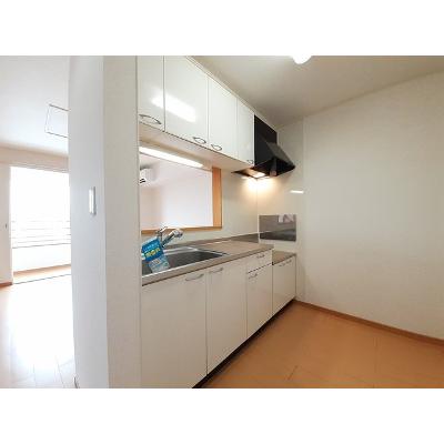インフィニティーＣ 203【管理NO：1-015457603-02030】 ★家具家電は申し込み後に搬入します 2026年08月下旬入居可能の物件画像