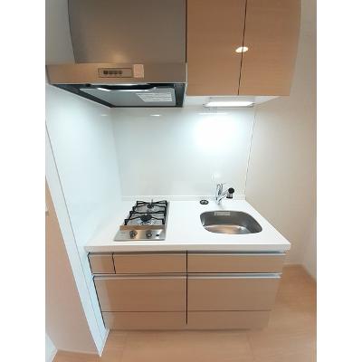 ＳＡＳＯＮ 402【管理NO：1-026488201-04020】 ★家具家電は申し込み後に搬入します 2026年07月下旬入居可能の物件画像