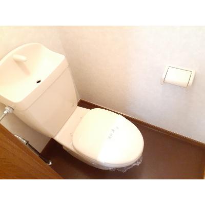 ストロベリー・フィールド 204【管理NO：1-011773901-02040】 ★家具家電は申し込み後に搬入します 2026年08月下旬入居可能の物件画像