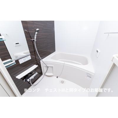 センチュリー　Ｙ・Ｅ 102【管理NO：1-028747001-01020】 ★家具家電は申し込み後に搬入します★ ★2027年01月下旬入居可能★の物件画像