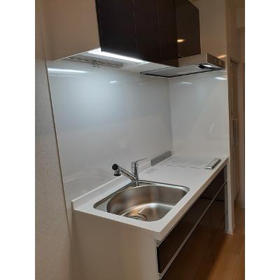 アクテュエル・Ｙ 303【管理NO：1-027290001-03030】 ★家具家電は申し込み後に搬入します★の物件画像