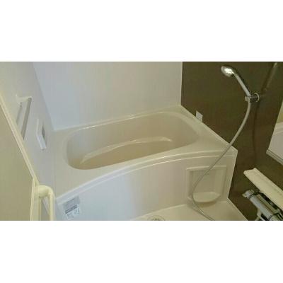 セルサス荒山Ａ棟 201【管理NO：1-019724701-02010】 ★家具家電は申し込み後に搬入します★ ★2026年09月中旬入居可能★の物件画像