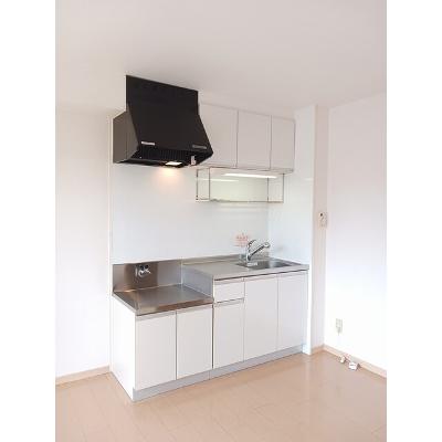 ニューエルディム裕Ⅱ 302【管理NO：1-004284802-03020】 ★家具家電は申し込み後に搬入しますの物件画像