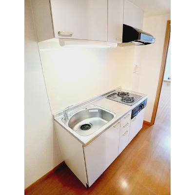 ニューカレント 203【管理NO：1-014177601-02030】 ★家具家電は申し込み後に搬入します★の物件画像