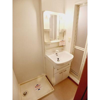 ニューカレント 203【管理NO：1-014177601-02030】 ★家具家電は申し込み後に搬入します★の物件画像