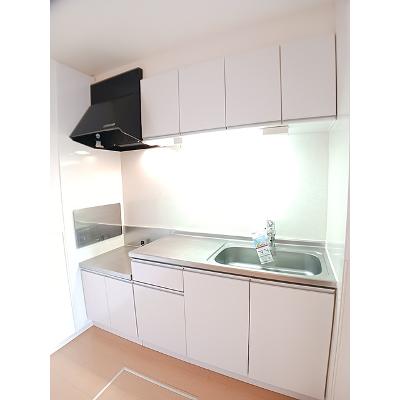 セレーナ・フェリーチェ　Ⅱ 103【管理NO：1-018528002-01030】 ★家具家電は申し込み後に搬入します★の物件画像