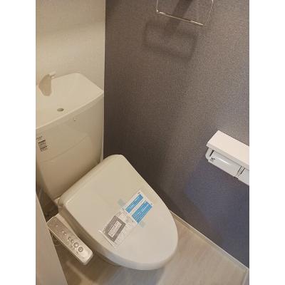 ロイヤルＳ＆Ｃ　Ｃ 102【管理NO：1-027762603-01020】 ★家具家電は申し込み後に搬入します★ ★2026年09月中旬入居可能★の物件画像