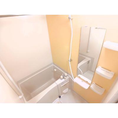 ラ・アヴェニール 305【管理NO：1-016618901-03040】 ★家具家電は申し込み後に搬入します★の物件画像