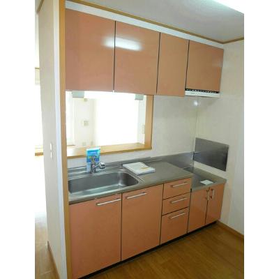 スカイフレッシュ 203【管理NO：1-013267901-02030】 ★家具家電は申し込み後に搬入します★の物件画像
