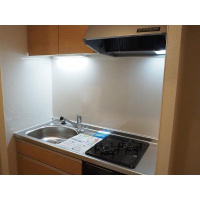 ライジング・プレイス 109【管理NO：1-025225701-01090】 ★家具家電は申し込み後に搬入します★の物件画像