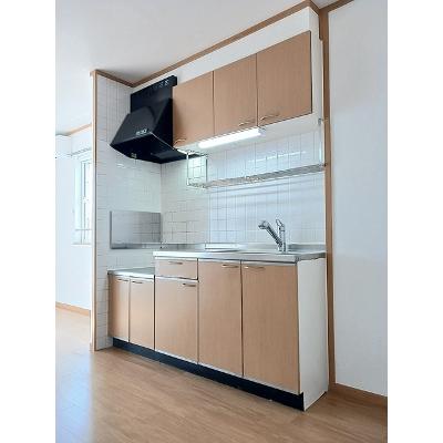 ルミノース 201【管理NO：1-011803701-02010】 ★家具家電は申し込み後に搬入します★の物件画像