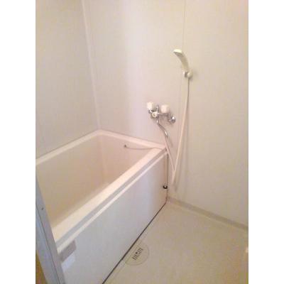 シュテルンハイム 203【管理NO：1-004635101-02030】 ★家具家電は申し込み後に搬入します 2026年07月下旬入居可能の物件画像