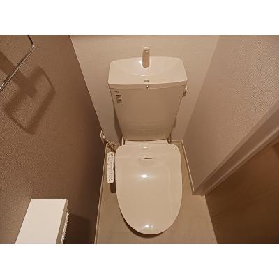 メゾン・サピー　Ⅱ 203【管理NO：1-027744501-02030】 ★家具家電は申し込み後に搬入します 2026年08月中旬入居可能の物件画像