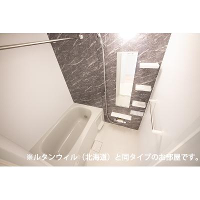 ネクサス 206【管理NO：1-028763501-02060】 ★家具家電は申し込み後に搬入します★ ★2027年02月上旬入居可能★の物件画像