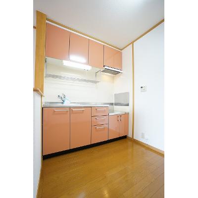 フェニックス大日向 202【管理NO：1-013283901-02020】 ★家具家電は申し込み後に搬入します 2026年09月中旬入居可能の物件画像