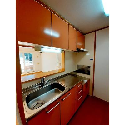 サニーレジデンス 203【管理NO：1-013025201-02030】 ★家具家電は申し込み後に搬入します 2026年08月下旬入居可能の物件画像