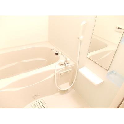 ベル・グラース 101【管理NO：1-015894501-01010】 ★家具家電は申し込み後に搬入します 2026年08月下旬入居可能の物件画像