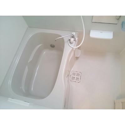 Ｂｉｒｄ　Ｖｉｅｗ 202【管理NO：1-016145801-02020】 ★家具家電は申し込み後に搬入します 2026年08月下旬入居可能の物件画像