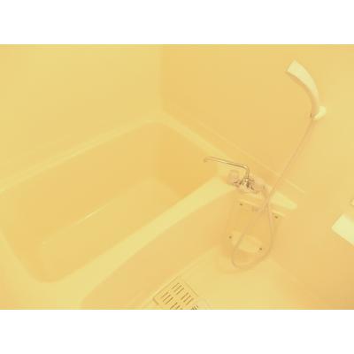 アビーロードＢ 202【管理NO：1-009571002-02020】 ★家具家電は申し込み後に搬入します★ ★2026年08月下旬入居可能★の物件画像