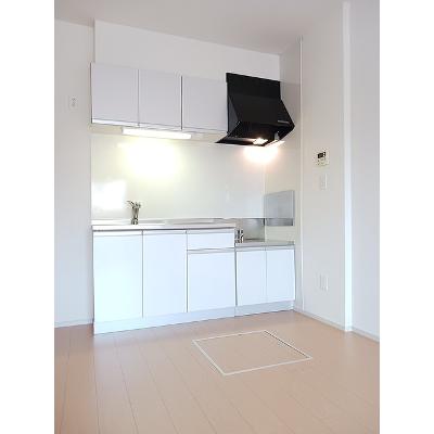 グラン・アムール 103【管理NO：1-018863901-01030】 ★家具家電は申し込み後に搬入します★の物件画像