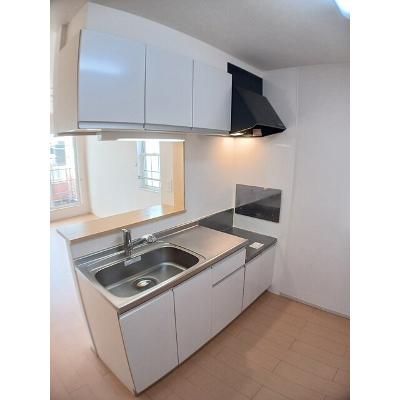 フィデール 201【管理NO：1-017757401-02010】 ★家具家電は申し込み後に搬入します★の物件画像