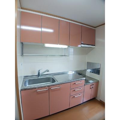 ヴィラ　セレーナＡ 203【管理NO：1-013147301-02030】 ★家具家電は申し込み後に搬入します★の物件画像