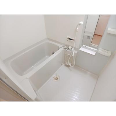 スター・マグノリアＣ 105【管理NO：1-013815803-01040】 ★家具家電は申し込み後に搬入します★の物件画像