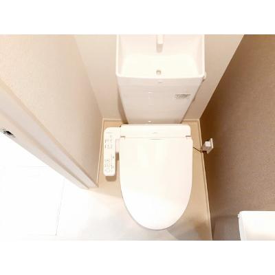 ジョイブライトＡ 201【管理NO：1-026726001-02010】 ★家具家電は申し込み後に搬入します 2026年08月下旬入居可能の物件画像
