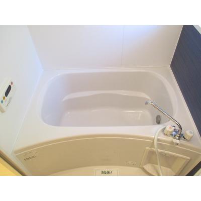 アルタイル 102【管理NO：1-015736201-01020】 ★家具家電は申し込み後に搬入します★ ★2026年09月中旬入居可能★の物件画像