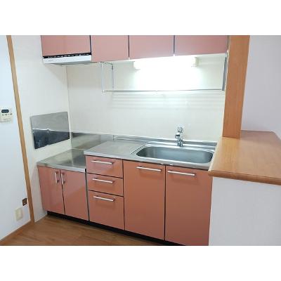 ミューズ　Ｂ 202【管理NO：1-013334202-02020】 ★家具家電は申し込み後に搬入します★の物件画像