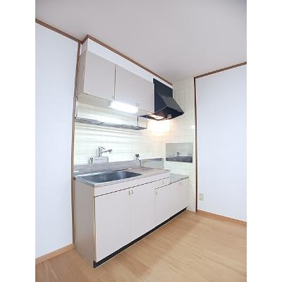 メゾンドーレⅢ 202【管理NO：1-006117601-02020】 ★家具家電は申し込み後に搬入します★の物件画像