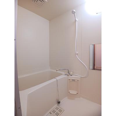 メゾンドーレⅢ 202【管理NO：1-006117601-02020】 ★家具家電は申し込み後に搬入します★の物件画像