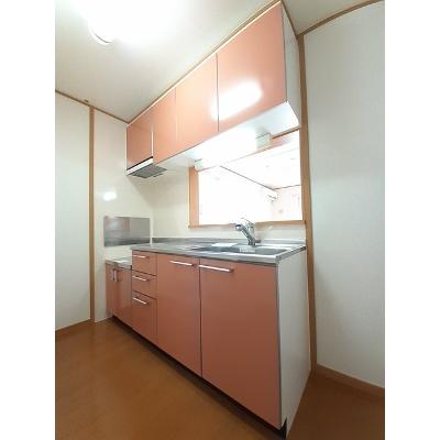 ラティオ．ＦＪ 205【管理NO：1-013628401-02040】 ★家具家電は申し込み後に搬入します★ ★2026年09月中旬入居可能★の物件画像