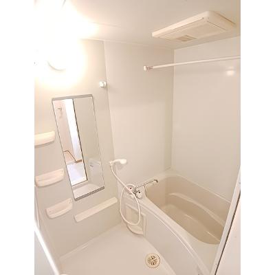 サンセベリア 202【管理NO：1-014283601-02020】 ★家具家電は申し込み後に搬入します★の物件画像