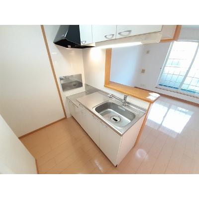 サンシャイン田原　Ｂ 202【管理NO：1-015022202-02020】 ★家具家電は申し込み後に搬入します★の物件画像